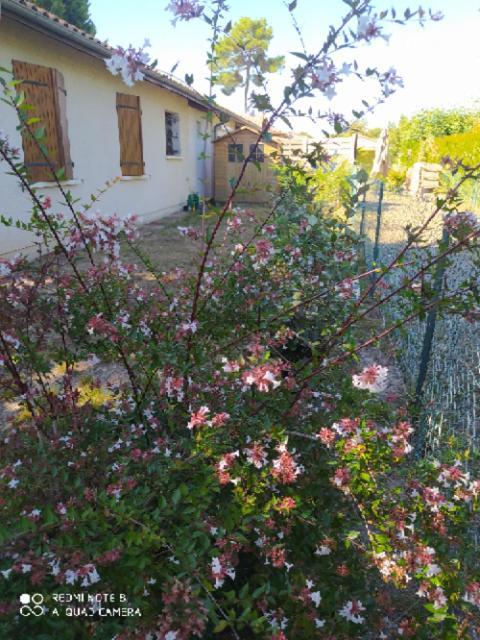 Villa Nancea Maison Arcachon Gujan-Mestras Esterno foto